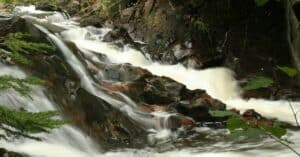 Find a Wild Beauty at Yellow Dog Falls