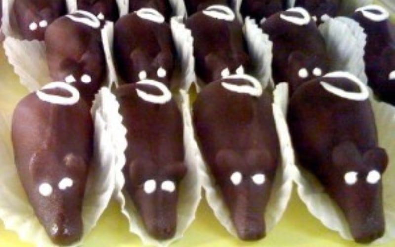 Brownie Rats in La Gloria Bakery