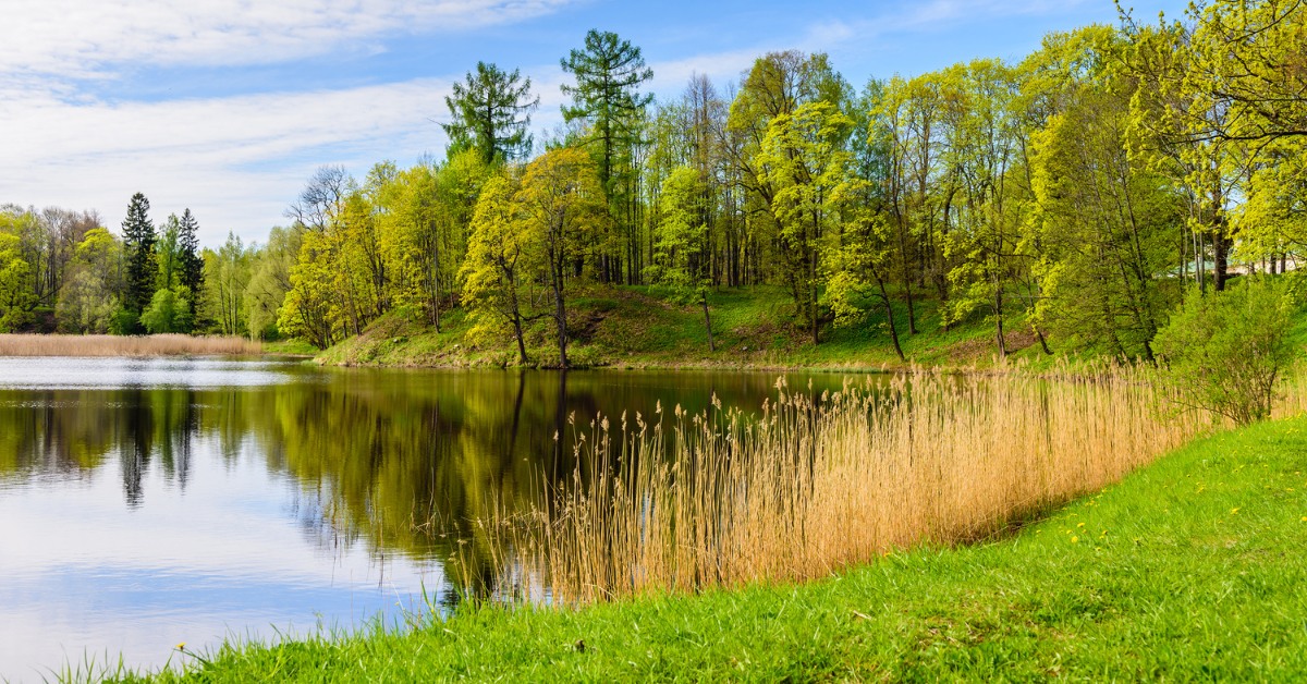 Mendon Ponds