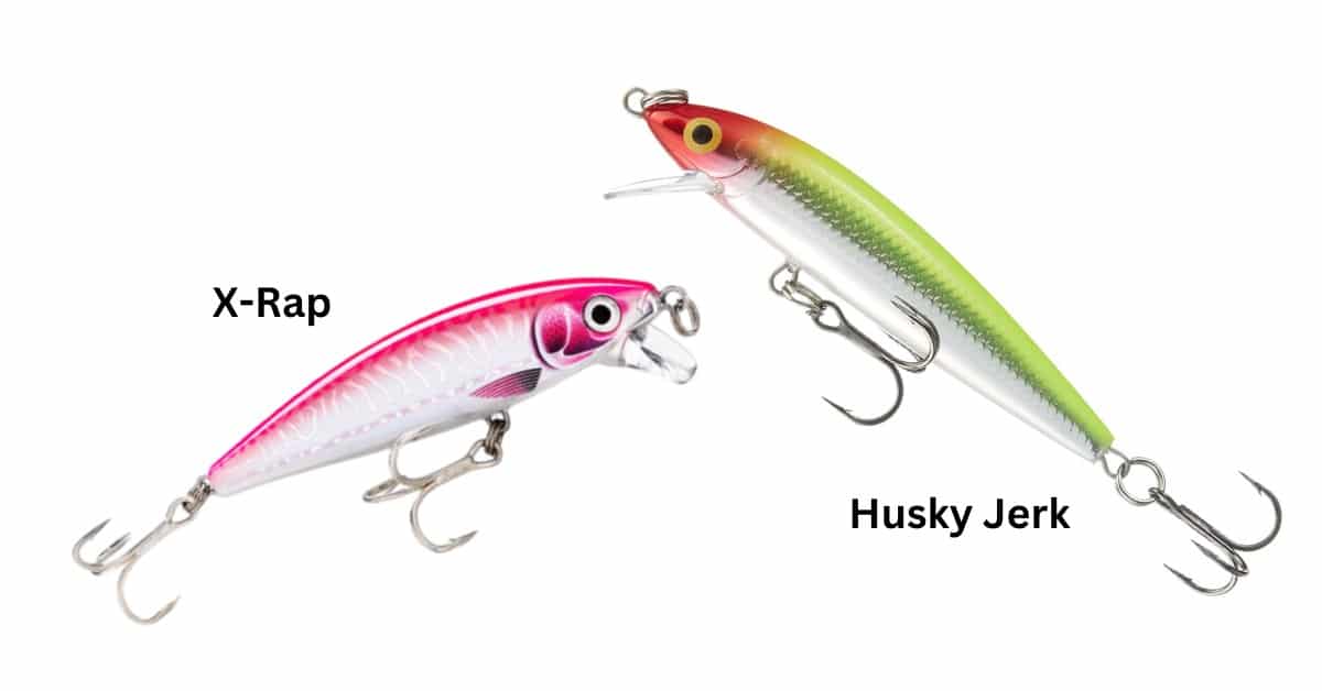 Rapala X-Rap or Husky Jerk