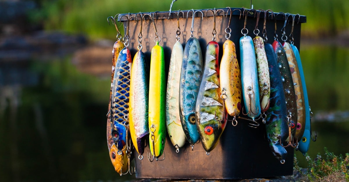 The Best 5 My Favorite Trout Lures