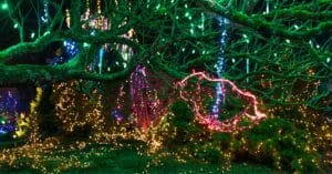 Metro Detroit's Most Mesmerizing Holiday Light Shows