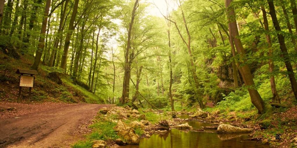 Paint Creek Trail