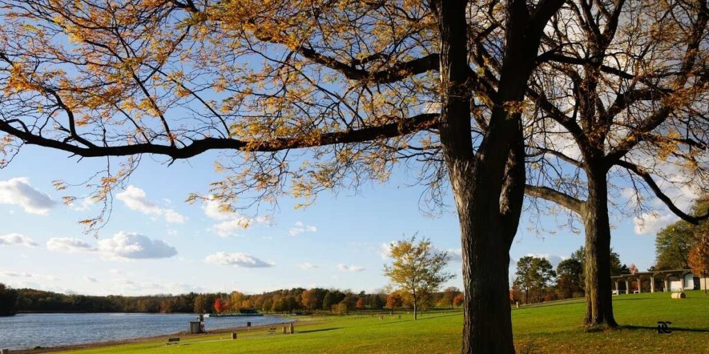 Stony Creek Metropark