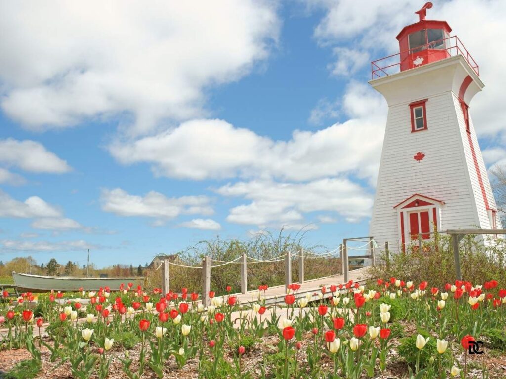 Lighthouse in Prince Edward Island National Park