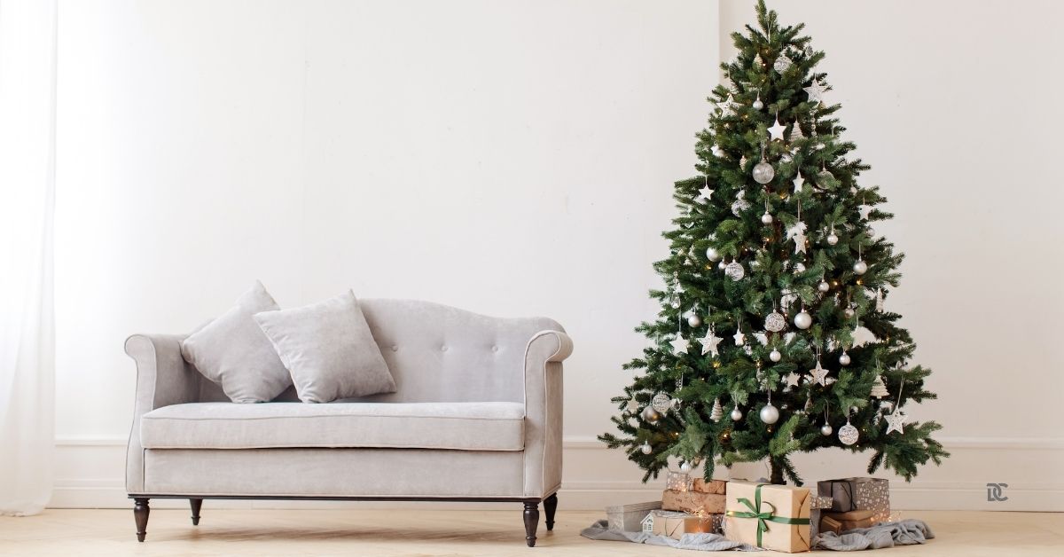 Giving Your Christmas Tree a Second Life: 5 Care and Disposal Tips