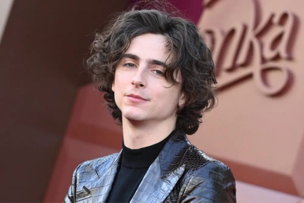 Who is Timothée Chalamet?